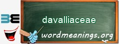 WordMeaning blackboard for davalliaceae